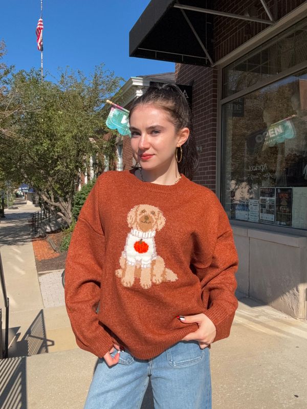 PUPPY N PUMPKIN