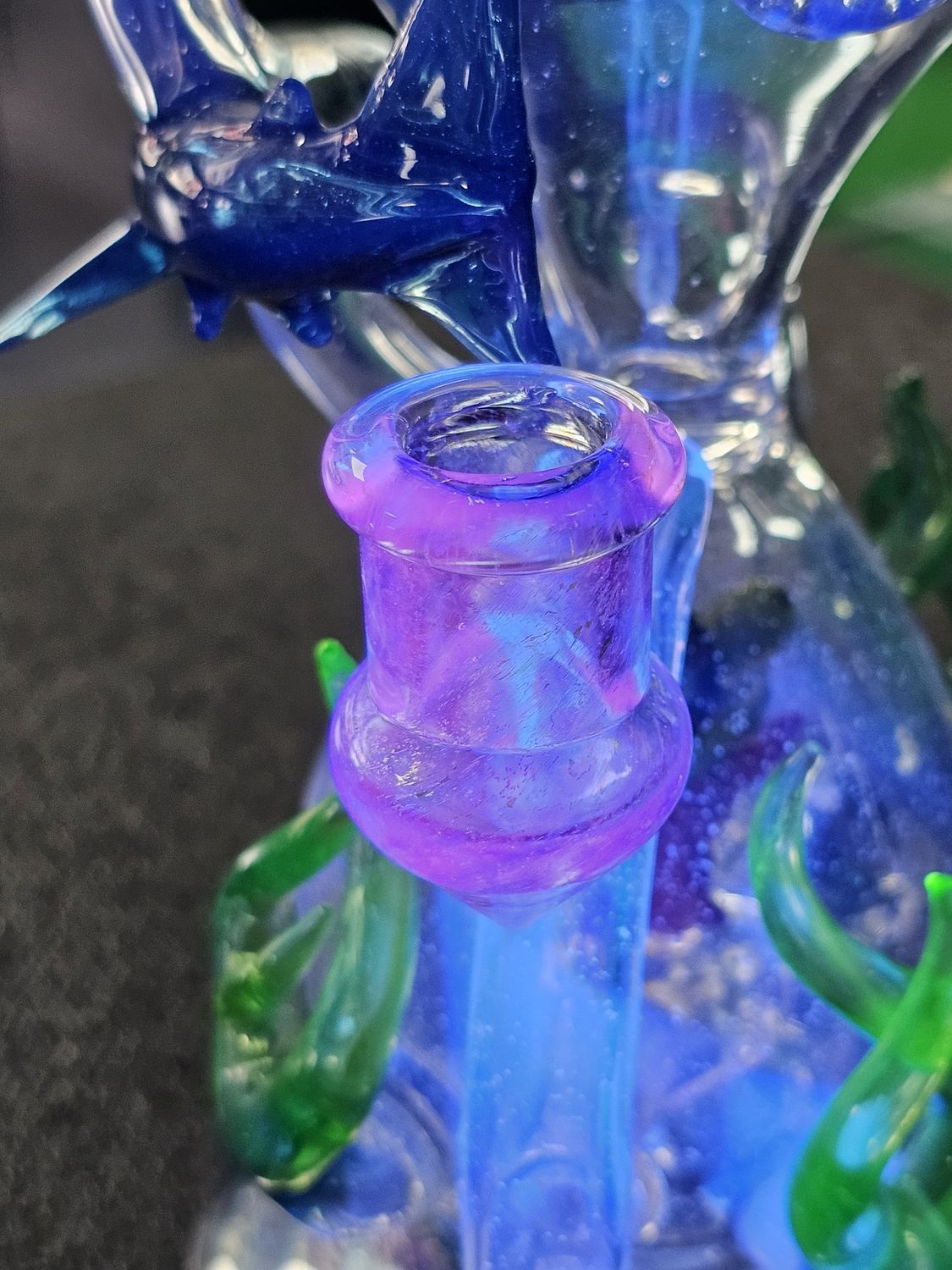 Mako Glass X Turtle Time Glass Recycler