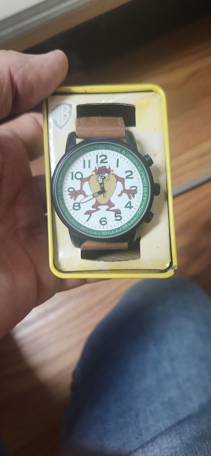Looney Tunes watch