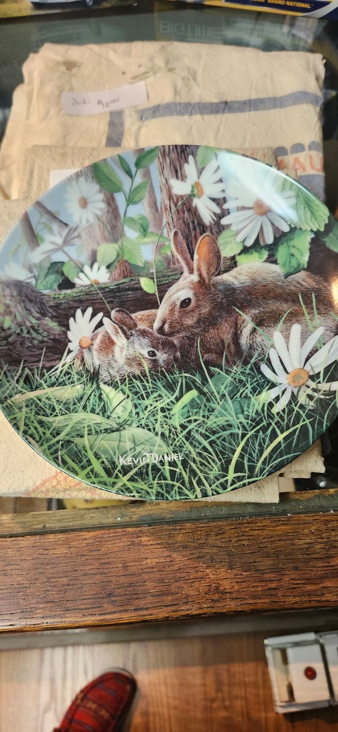 Decorative plates Rabbit