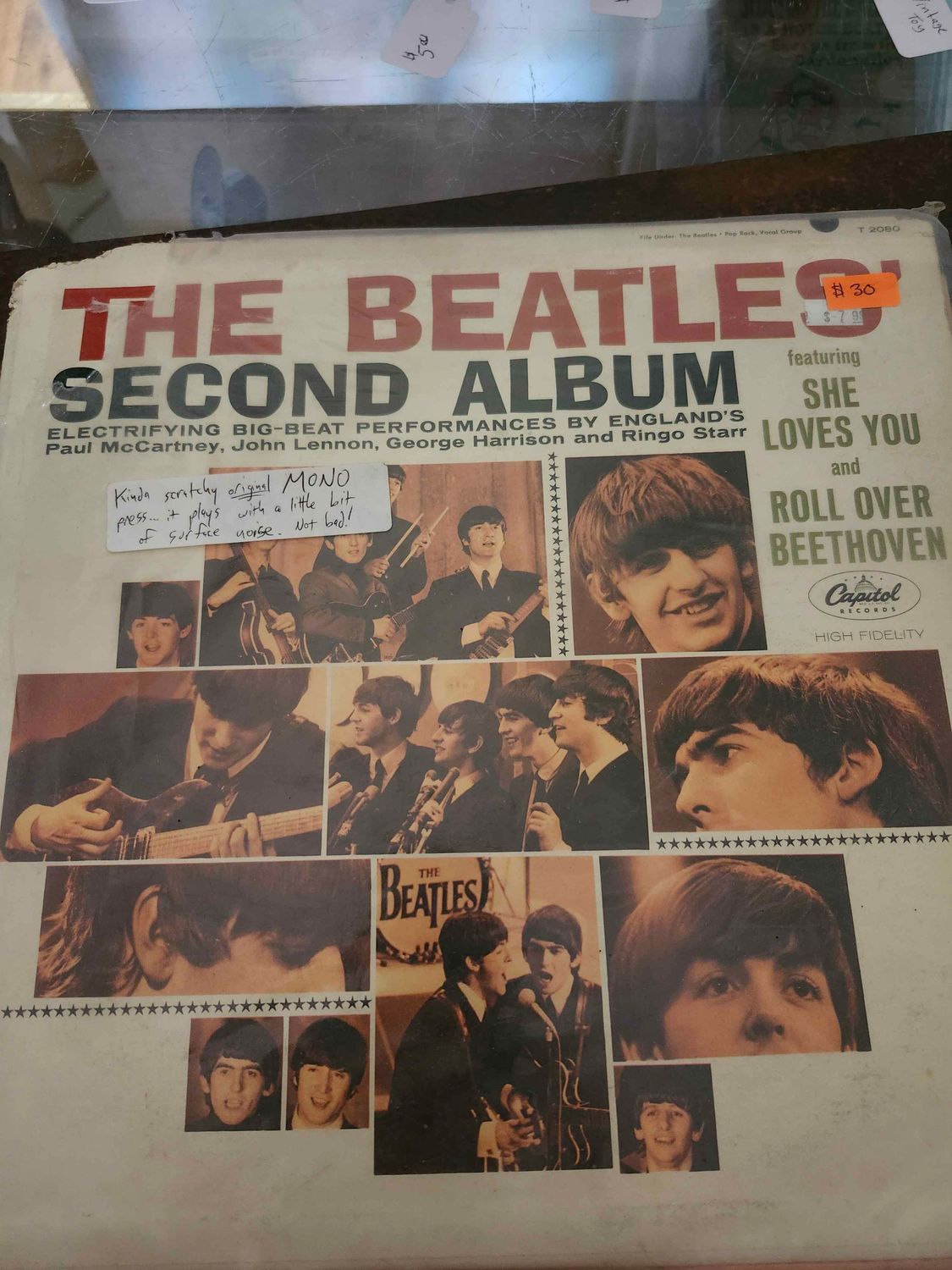 Beetle second Album