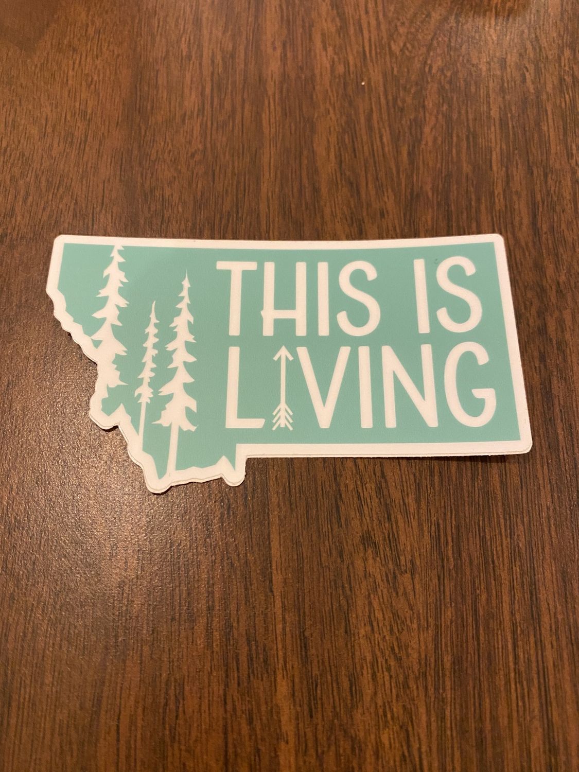 Montana Sticker - This is Living