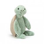 Bashful Turtle Large