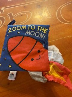 Zoom To The Moon Book