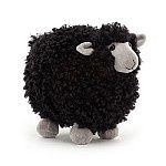 Rolbie Black Sheep