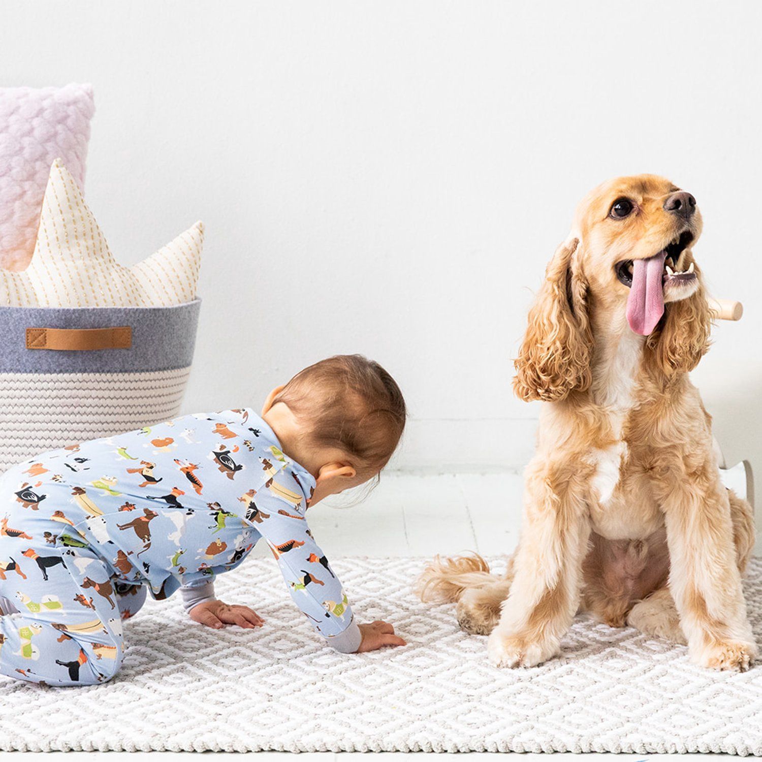 in-dog-nito II modal magnetic footie