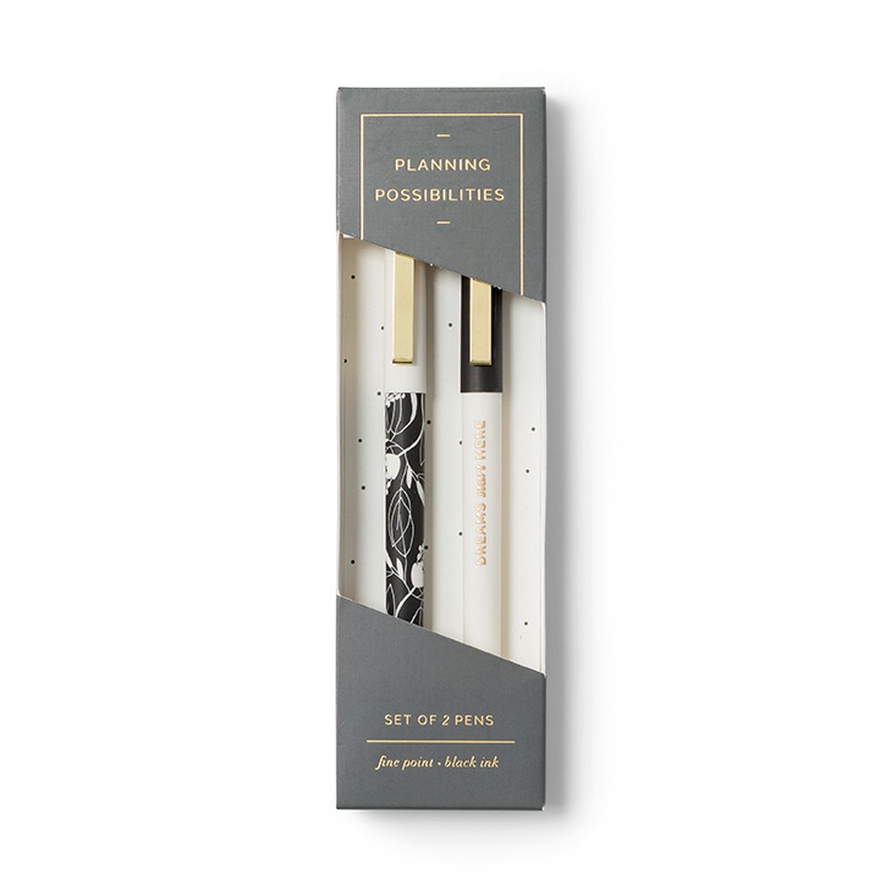 PLANNING POSSIBILITIES PENS