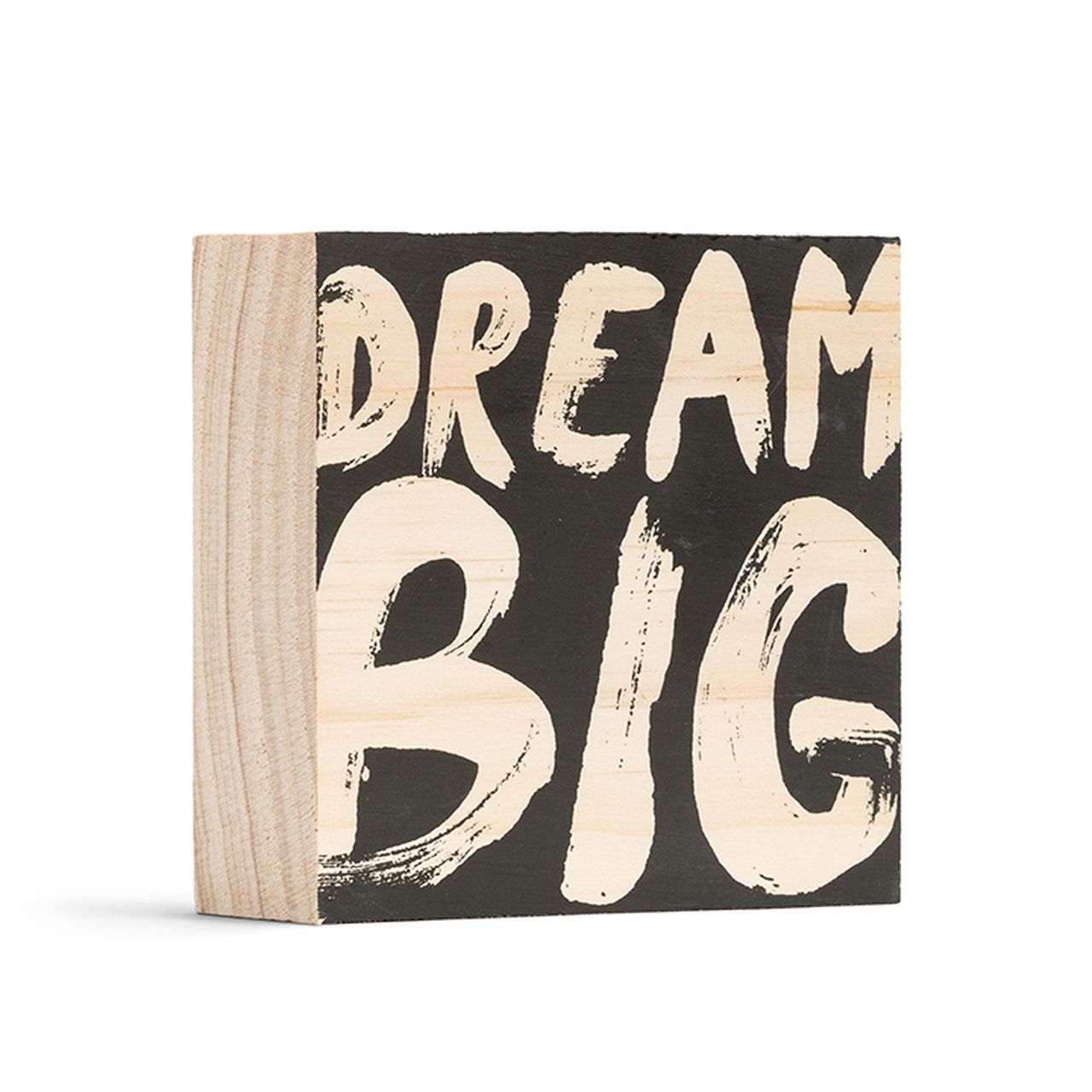 DREAM BIG - WOOD SIGN