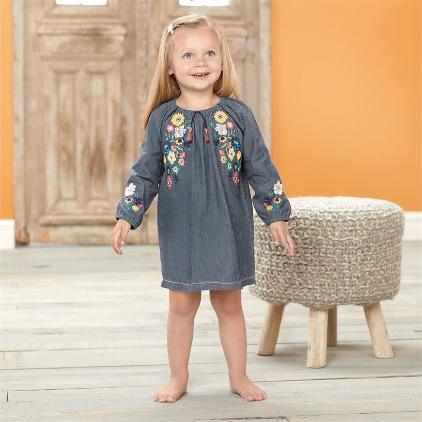 Chambray Floral Embroidered Dress