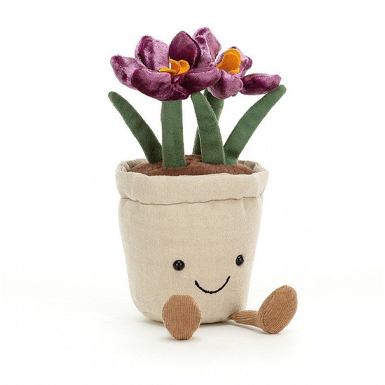 Amusable Crocus