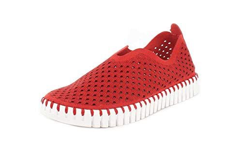 Tulip Flats