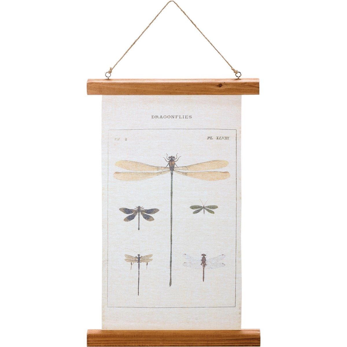 Wall Decor - Dragonflies