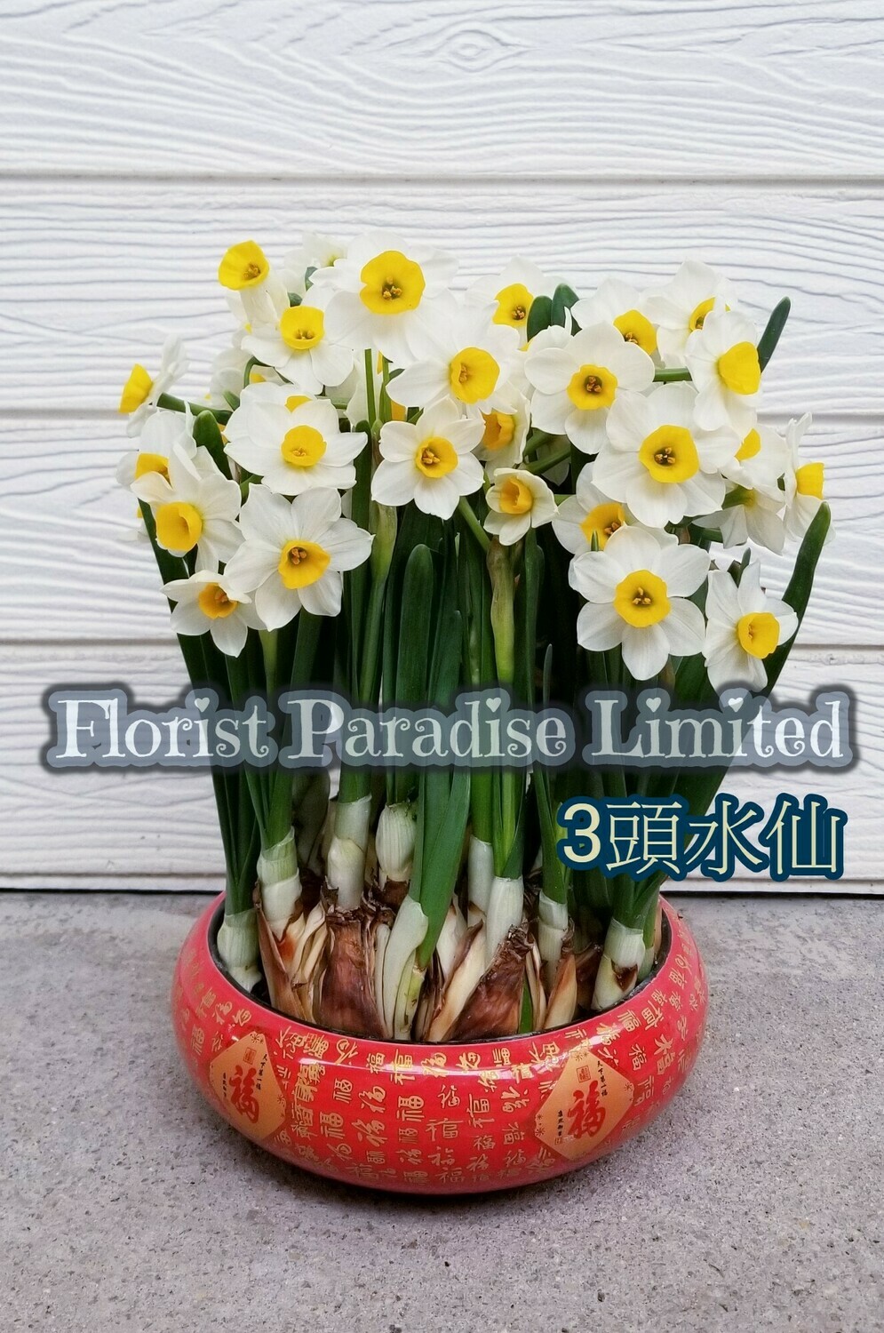 水仙