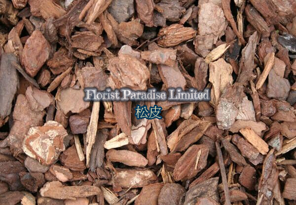 松皮
