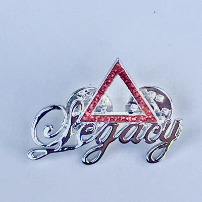New Member Pins/Gift