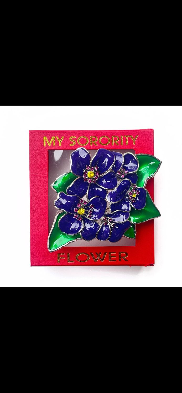 Violet Pin w Carry Lock Box/Dst-Nationally Approved !