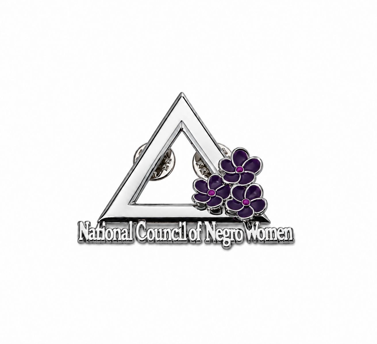 The Bethune -NCNW PIn