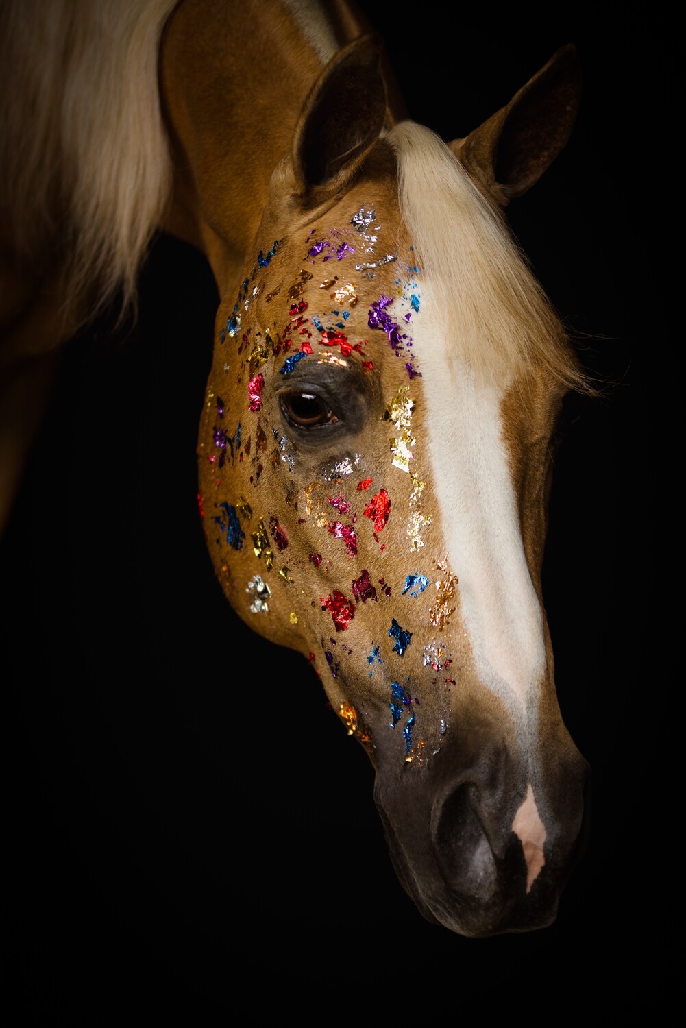 Colored Foil Horse - Photo Print