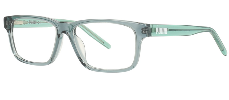 PJ00460