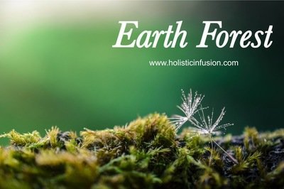 Earth Forest