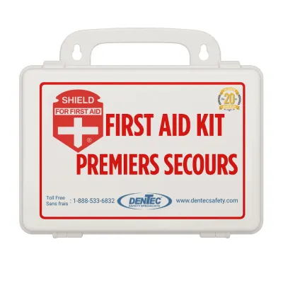 Formula 1 Car Kit- 10 Unit Plastic Box