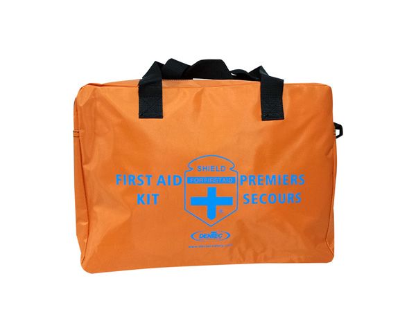Winter Automobile Kit