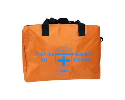 Winter Automobile Kit