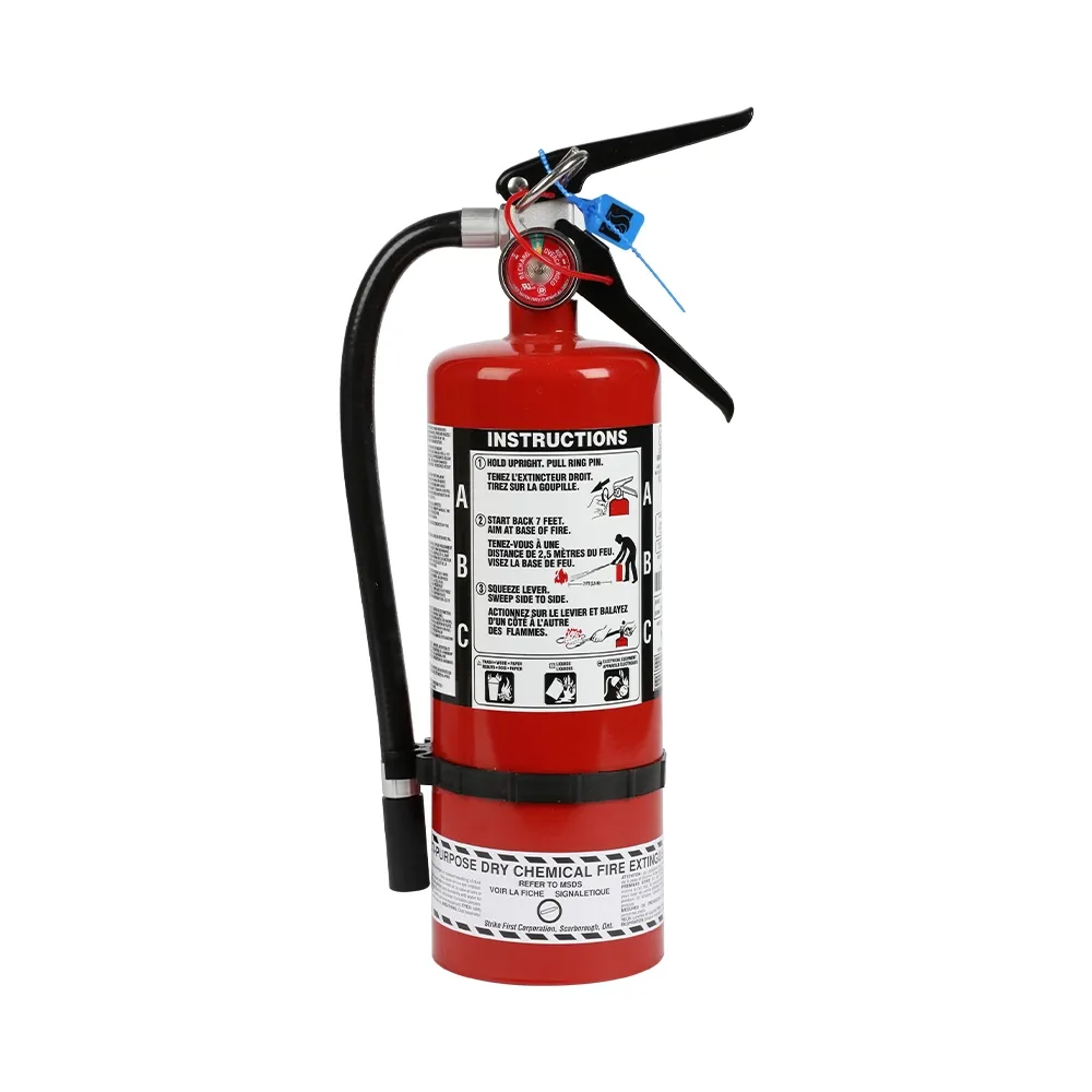 Fire Extinguisher - 5.0lb - Wall Mount 640450 WASIP