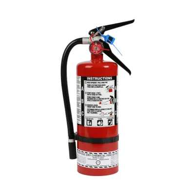 Fire Extinguisher - 5.0lb - Wall Mount 640450 WASIP