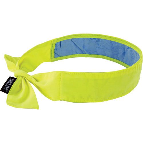 Chill-Its Cooling Bandanas | PVA | Ergodyne SEC683/SEC684/SEI645(X2) SCN Industrial