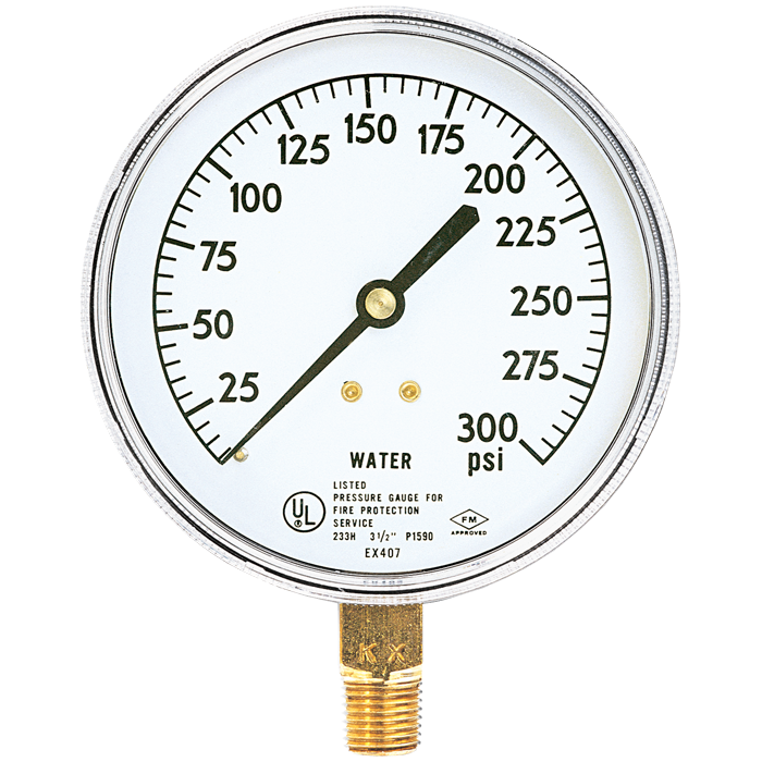 Water Gauge - 0-300 psi SG2 RS Steel