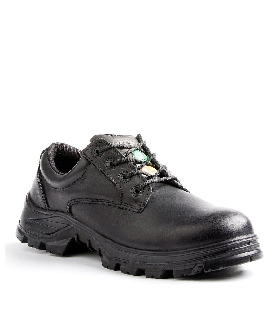 Men's Casual Work Shoe ALBANY CT CP ESR | Terra TR835235 Terra