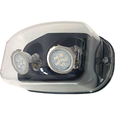 Aimlite RMN "Deluge" Double - LED - Wet Location - Anti Vandal RMN26244WLR/RMN212246WLA RS Steel