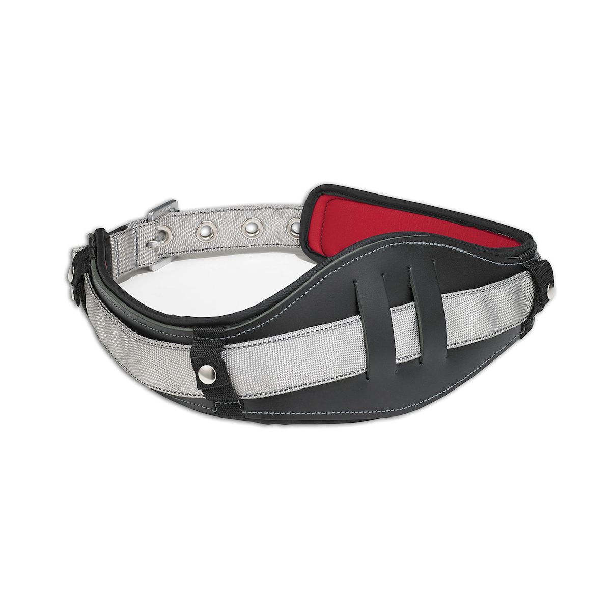 Dynamic Lumbar Support for Belt FP5501 Dynamic