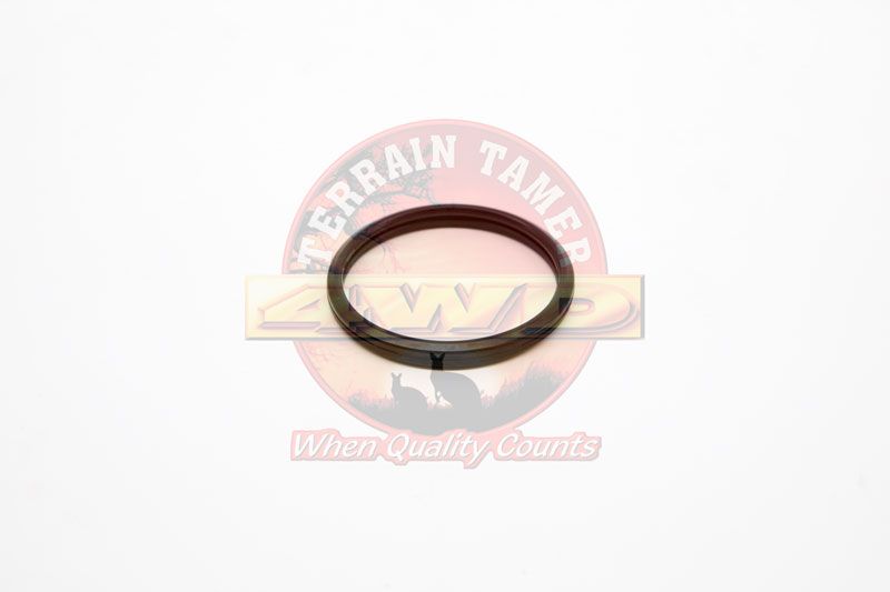 THERMOSTAT O-RING