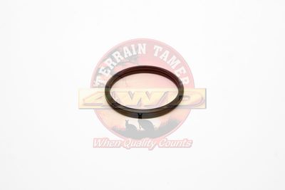 THERMOSTAT O-RING