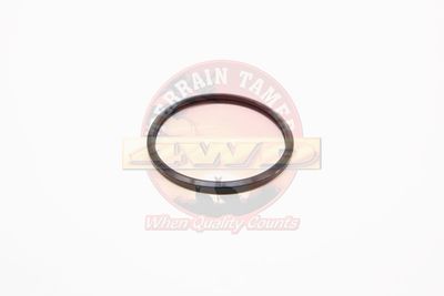 GASKET ORING THERMOSTAT HOUSING 2