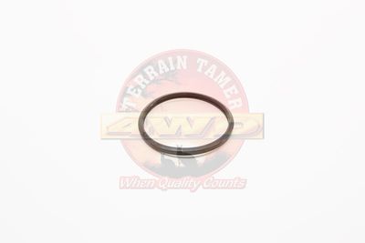 GASKET ORING THERMOSTAT HOUSING 1