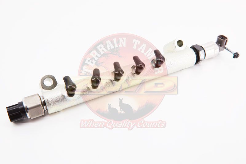 RAIL ASSY COMMON FUEL INJECTION 2