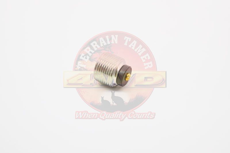 PLUG DIFF DRAIN 1