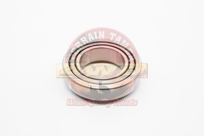 BEARING WHEEL FRONT OUTER OR FRONT DIFF HEMISPHERE