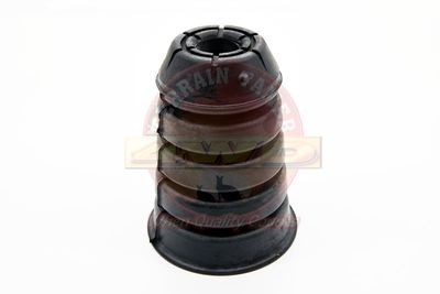 SPRING HOLLOW COIL SPRING REAR