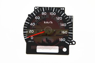 SPEEDOMETER ASSY