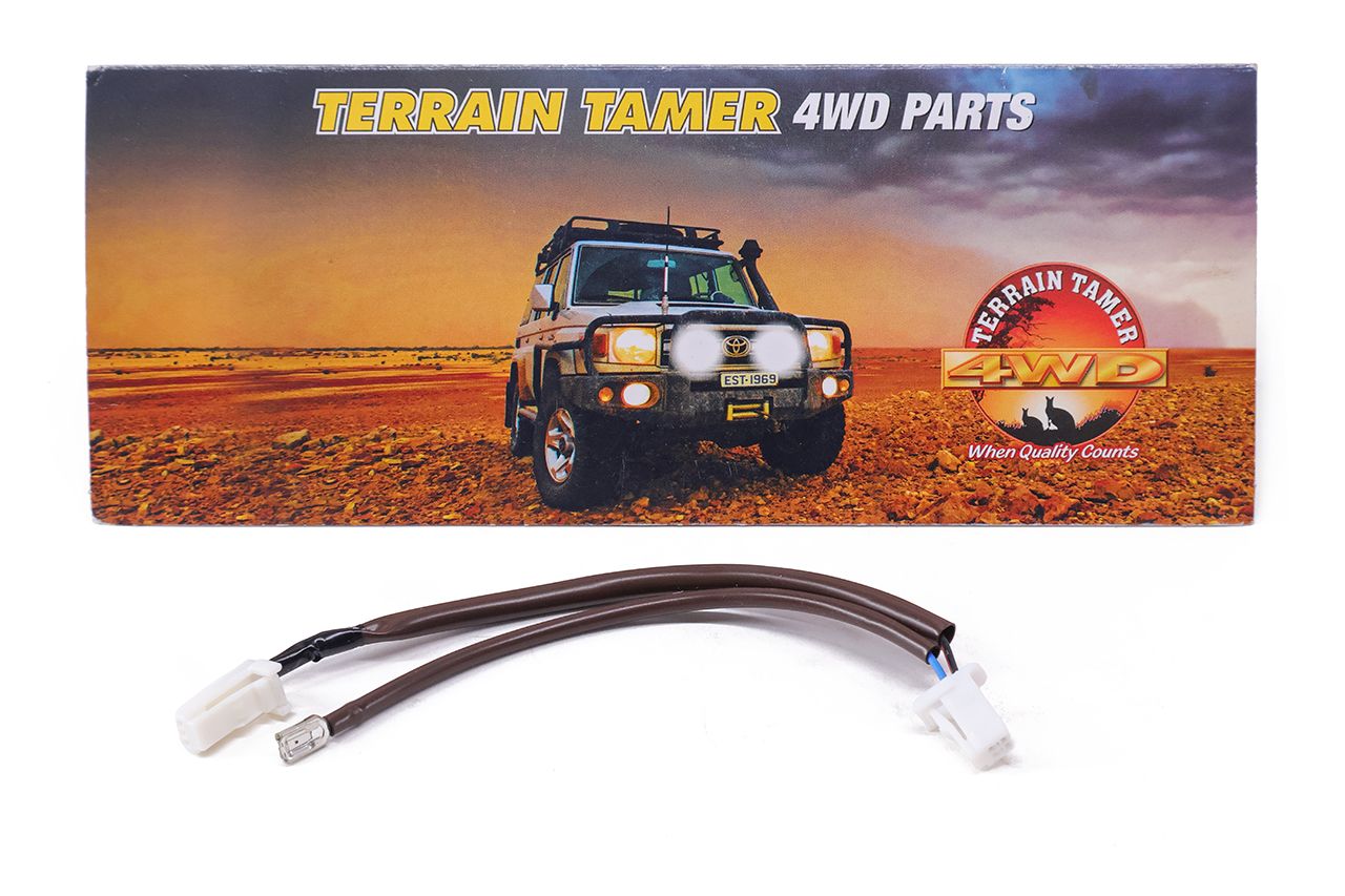 WIRE CRUISE CONTROL SWITCH 2