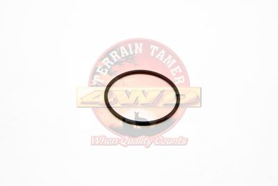 O RING IDLER SHAFT 2