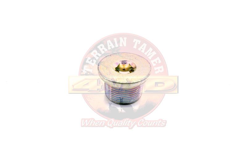 PLUG DRAIN FRONT DIFF ALLEN HEAD