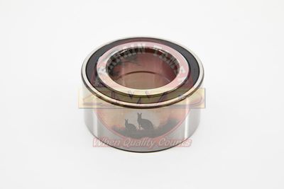 BEARING REAR AXLE