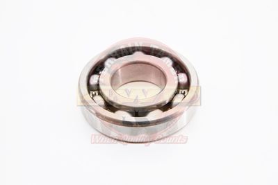 BEARING INPUT SHAFT 1