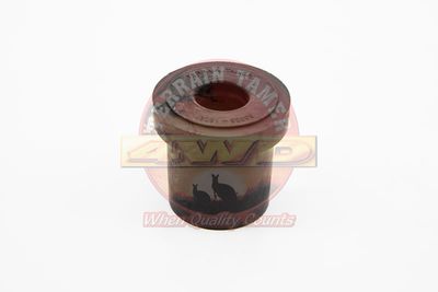 BUSH SHACKLE REAR SPRING 1