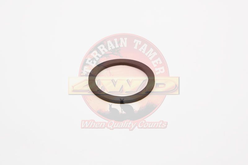 O RING THERMOSTAT 2